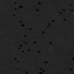 MothTech™ T-Shirt - Image 8